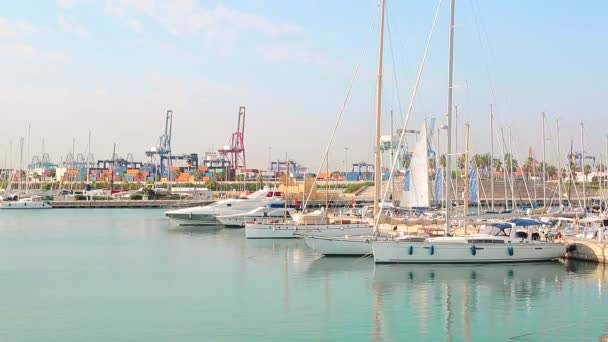 Morgon i lyxbåtar dockad. Som är i valence marina — Stockvideo