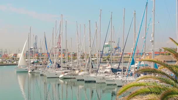 Парковка Многие корабли с парусной яхтой плавающие Восточное Босфор море — стоковое видео