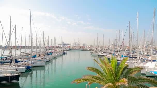 Clube de iates Maravilhosa manhã no porto de Valence. Iates estacionados estão balançando em ondas. Barcos à vela estão estacionados perto do porto do mar — Vídeo de Stock