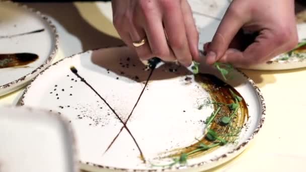 瑞厨师用草药装饰盘子 — 图库视频影像
