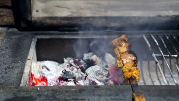 Barbacoa recién horneada, y trozos de carne horneados en la parrilla — Vídeos de Stock