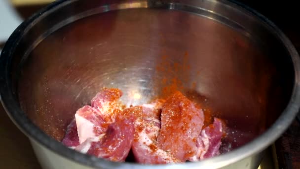 Шеф-повар посыпает специями сырые куски мяса. Подготовка мясного маринада перед жаркой — стоковое видео