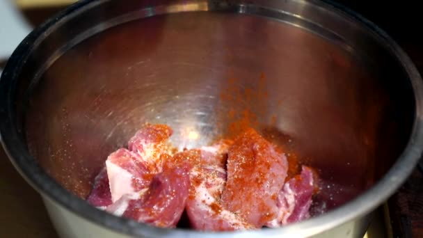 O chef polvilha especiarias em pedaços crus de carne. Preparação de escabeche de carne antes do ato de fritar — Vídeo de Stock