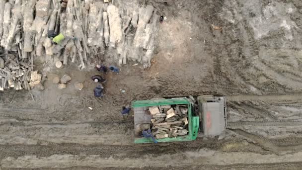 Группа рабочих загружает дрова в грузовик. Вырубка лесов, погрузка древесины на автомобиль — стоковое видео