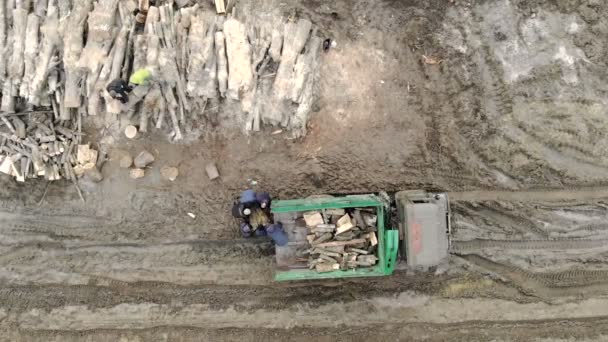 Un grupo de trabajadores cargando leña en un camión. Deforestación, carga de madera en un coche — Vídeos de Stock