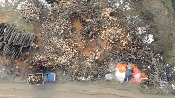 Een groep van werknemers hout op een vrachtwagen laden. Ontbossing, laden van hout op een auto — Stockvideo