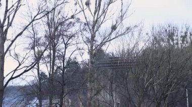 İnşaat Vinci beton sertliği için bina formu ağırlığını yükseltir