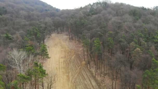 Vue aérienne de la déforestation. Survoler un site d'arbres abattus — Video