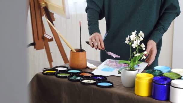 A mão feminina do artista, mistura as cores na placa, e prepara-se para pintar um quadro com tintas acrílicas — Vídeo de Stock