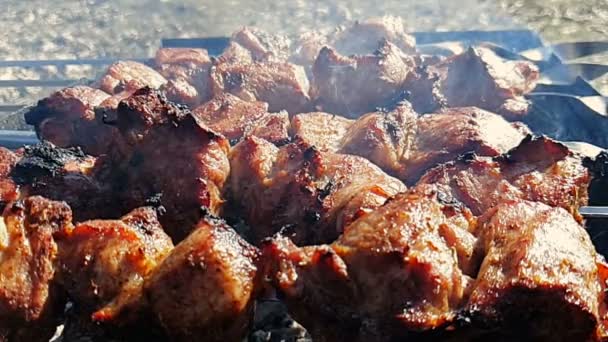 Kebab de cerdo de cerca. Movimiento lento de humo y carne asada — Vídeos de Stock
