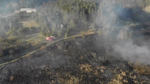 Pożary na dużą skalę. Spalanie trawy i drzew na dużym obszarze. Fire trucki w miejscu pożaru — Wideo stockowe