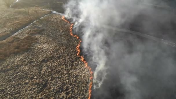 Des incendies à grande échelle. Brûler l'herbe et les arbres dans une grande zone .