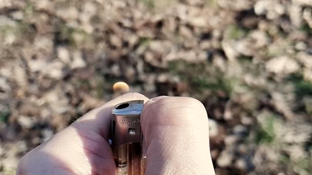 Una mano de hombre enciende un encendedor contra la hierba. 1000FPS cámara lenta — Vídeos de Stock