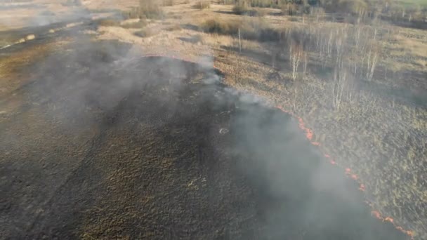 Grootschalige branden. Het branden van gras en bomen in een groot gebied. — Stockvideo