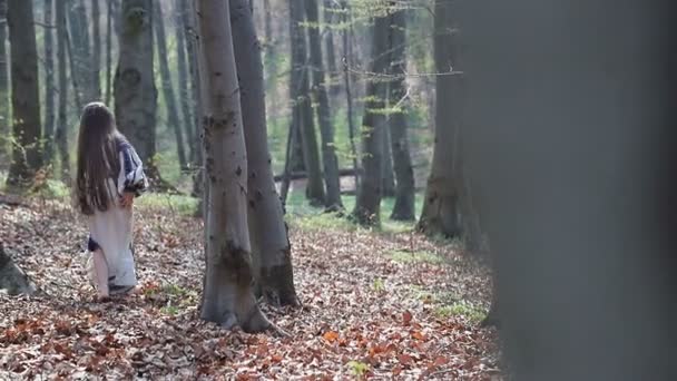 Lilla barfota flicka körs i en skog eller Park och gömmer sig bakom träd i en vit klänning med blå mönster. — Stockvideo