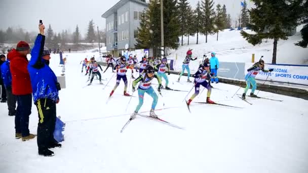 Ukraina. Yavoriv. 12 mars 2019. Elevgrupp för flickor och pojkar, deltar i lokala skidskytte tävlingar — Stockvideo