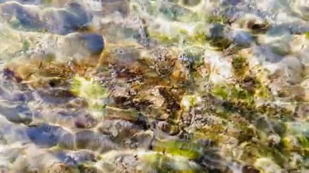 Verschwommener Hintergrund von Wasser, das in Zeitlupe fließt. Blendung spiegelt sich am Grund des Baches. — Stockvideo