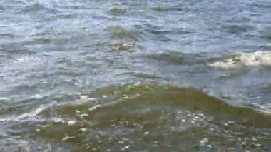 motorlu tekne motoru oluşan su kabarcıkları