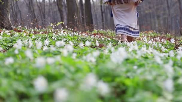 Beine eines Mädchens, das im Wald spazieren geht. Waldblumen im Vordergrund. — Stockvideo