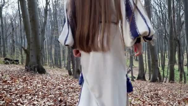 Маленькая девочка в светлом платье с голубыми узорами идет в лес спиной к камере — стоковое видео