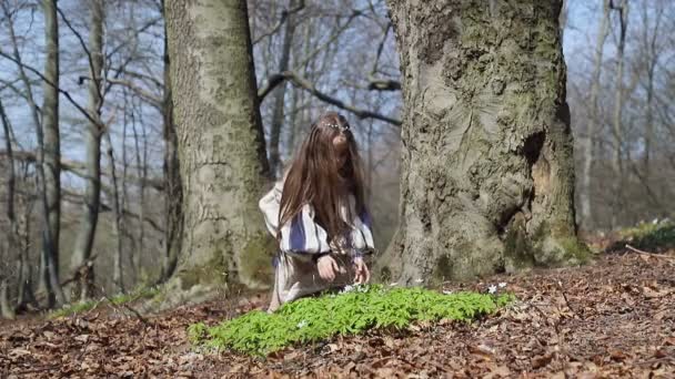 Una niña en el bosque coge un batidor de flores blancas del bosque y se lo pone en la cabeza. — Vídeos de Stock