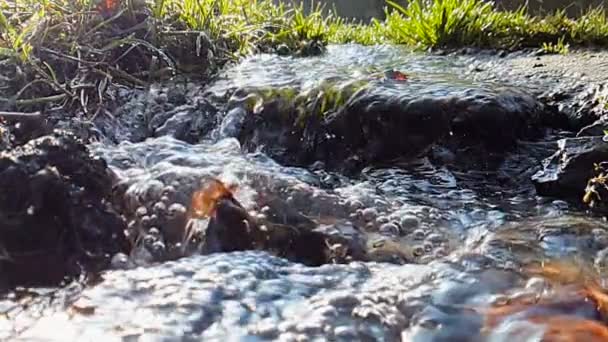 Río pequeño en cámara súper lenta primer plano con enfoque corto — Vídeo de stock