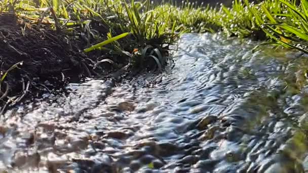 Río pequeño en cámara súper lenta primer plano con enfoque corto — Vídeos de Stock