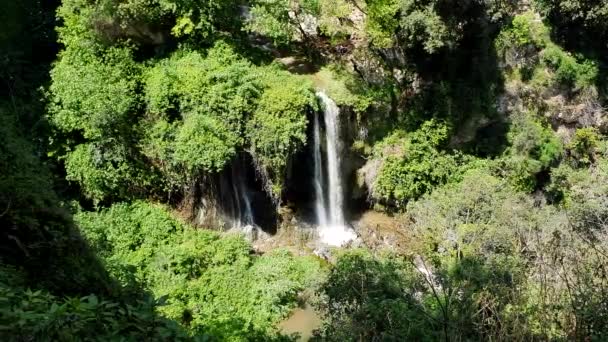 Magnífica cascada en tiempo soleado en Tivoli Wildlife Park, Italia . — Vídeo de stock