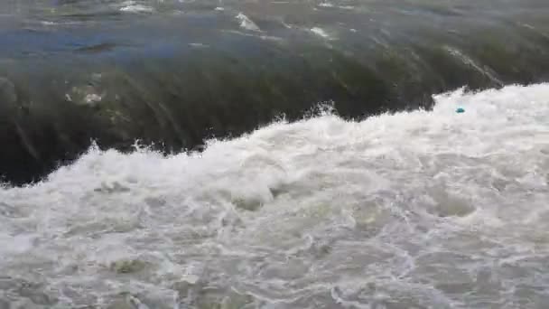 Hızlı dağ nehirlerinin akışı. Şelaleden sonra köpüren suyun kaotik hareketi. — Stok video
