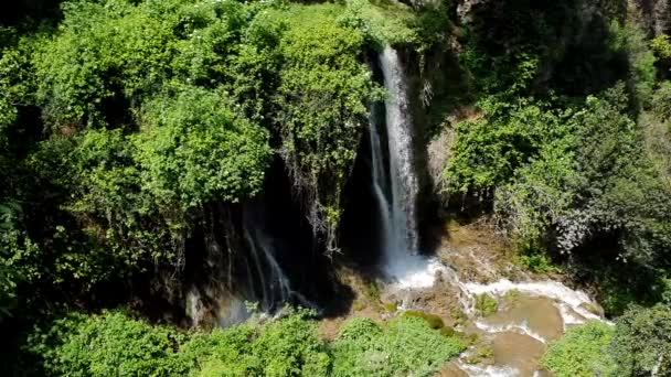 Magnífica cascada en tiempo soleado en Tivoli Wildlife Park, Italia . — Vídeo de stock