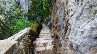 Yaban hayatı Parkı 'nda uçurumun boyunca merdivenlerden inen. İlk kişi görünümü. Vahşi yürüyüş