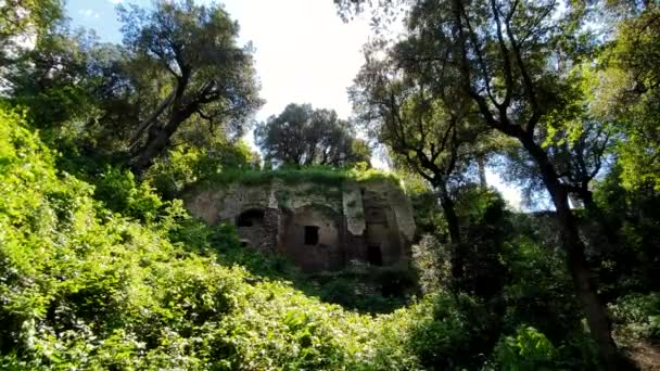 Starověké rozvaliny v parku divočiny, v Tivoli, Itálie — Stock video