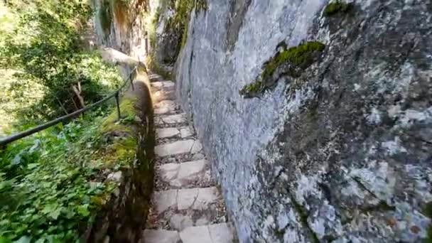 Bajando las escaleras a lo largo del acantilado en el Parque de Vida Silvestre. Vista en primera persona. Caminar en la naturaleza — Vídeo de stock