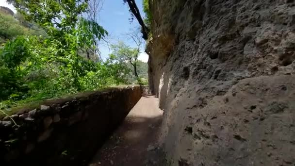 Walk at the cliff in the wildlife Park. First person view. Walk in the wild — Stock Video