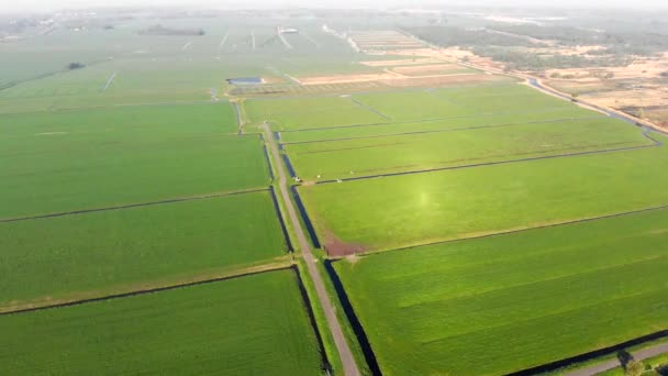 Gröna fält och kanaler för bete i Nederländerna — Stockvideo
