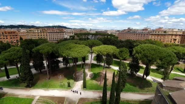 Roma'da melek kale yakınında çam ağaçlarının Park — Stok video