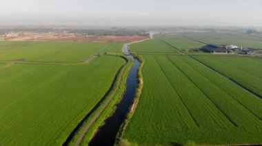 Hollanda 'da otlatma için yeşil alanlar ve kanallar