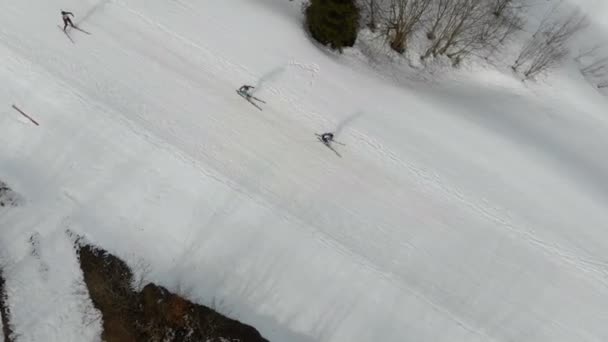 Vue aérienne Biathlon. Athlètes étudiants participant à des compétitions locales. Passage du groupe de distance des athlètes dans les montagnes . — Video