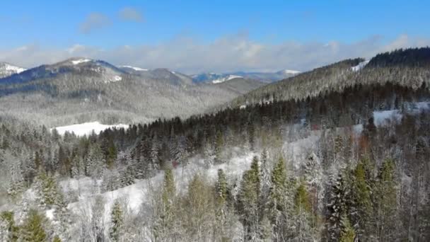 Panorama della catena montuosa con alberi coperti di neve in tempo soleggiato. Vista invernale sulle montagne dei Carpazi — Video Stock