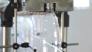 Plastik şişede maden suyunuşişeleme için şişelerin Otomatik konveyör hattına elle beslenmesi. Şişelere saf kaynak suyu şişeleyen su fabrikası. Seçici odaklama.