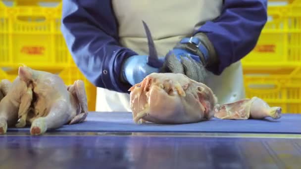 An employee of the company conducts deboning chicken. Chicken breasts with ribs are separated from thighs. Hand closeup which share the chicken — Stock Video