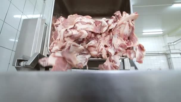 Stora köttbitar som hamnar i en industriell köttkvarn. Urbening av kött i företaget Köttindustri. — Stockvideo