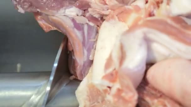 De gros morceaux de viande qui tombent dans un hachoir à viande industriel. Désossage de la viande dans l'entreprise Industrie de la viande . — Video