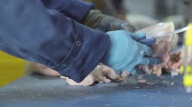 Kubny'nin şirketteki planı çalışanı tavuk deboning harcıyor. Tavuk parçalarını keser. Kaburgaile tavuk göğüsleri uyluk ayrılır. Tavuk paylaşmak El closeup