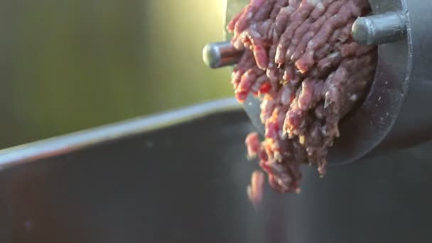 Grote industriële vleesmolen, grinden het vlees in gehakt vlees. Stukjes gehakt vlees komen uit de molen. — Stockvideo