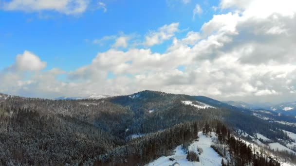 Panorama de la cordillera con árboles cubiertos de nieve en tiempo soleado. Vista de invierno de las montañas Cárpatas — Vídeos de Stock