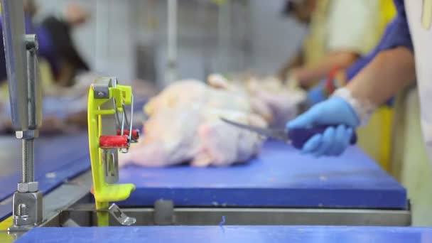 El empleado afiló el cuchillo durante el deshuesado del pollo en la empresa. El primer plano del cuchillo pasa a través de la herramienta de afilado — Vídeos de Stock