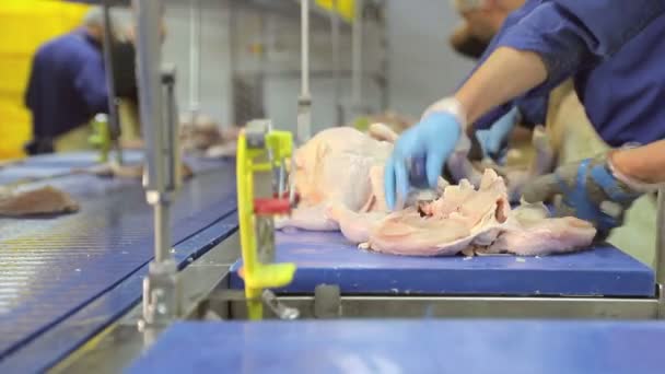 Um empregado da empresa conduz a desossar frango. Peitos de frango com costelas são separados das coxas. Closeup mão que compartilham o frango — Vídeo de Stock