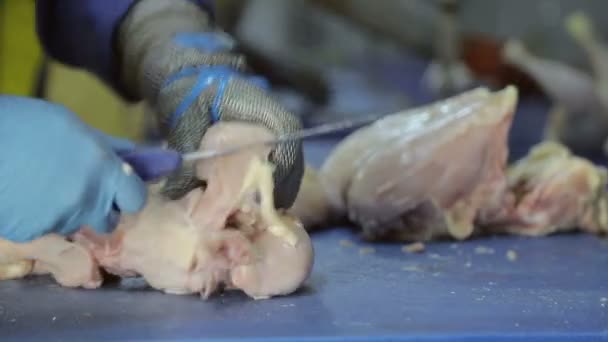 Kubny plano empregado na empresa gasta desossando frango. Corta pedaços de frango. Peitos de frango com costelas são separados das coxas. Closeup mão que compartilham o frango — Vídeo de Stock