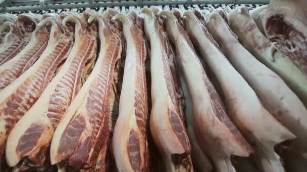 Carcaças de porco fresco penduradas em ganchos no refrigerador. Panorama lento e movimento da câmera. Um grande número de carcaças de carne de porco na empresa — Vídeo de Stock